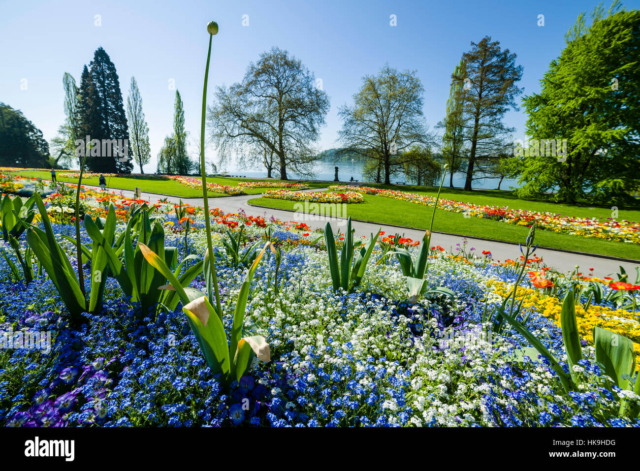Landscape gardening and blooming flowers at Island Mainau, the 'Island of flowers' at Lake Constance Stock Photo