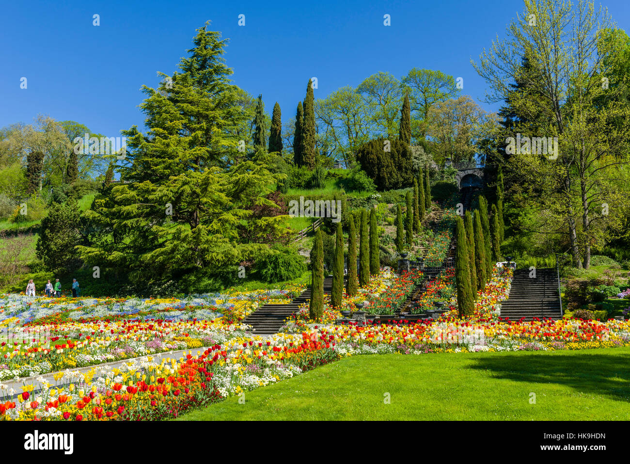 Landscape gardening and blooming flowers at Island Mainau, the 'Island of flowers' at Lake Constance Stock Photo