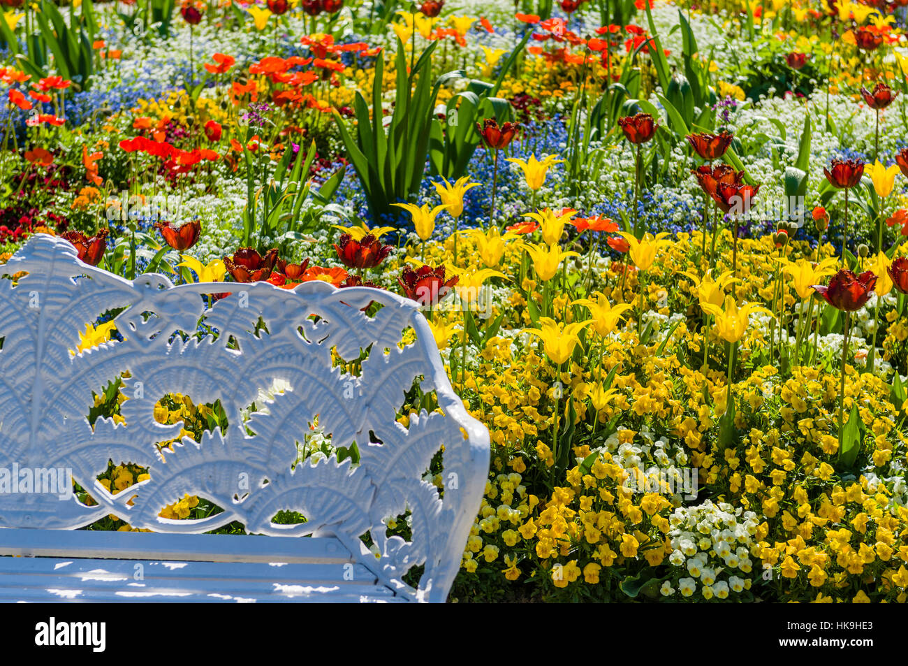 Part of a white bench and blooming flowers at Island Mainau, the 'Island of flowers' at Lake Constance Stock Photo
