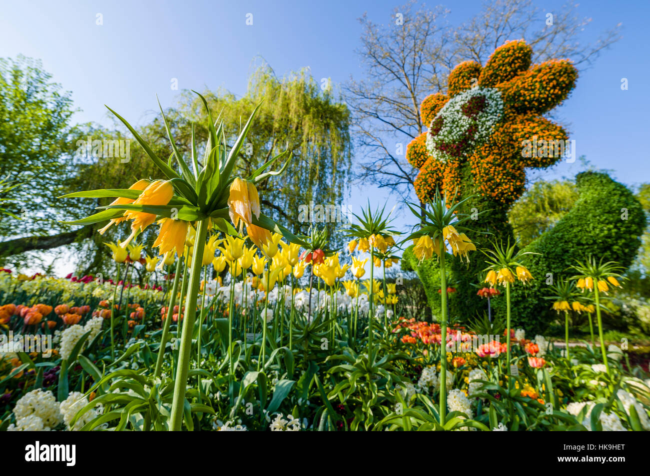 Sculpture of a sunflower made by blooming flowers at Island Mainau, the 'Island of flowers' at Lake Constance Stock Photo