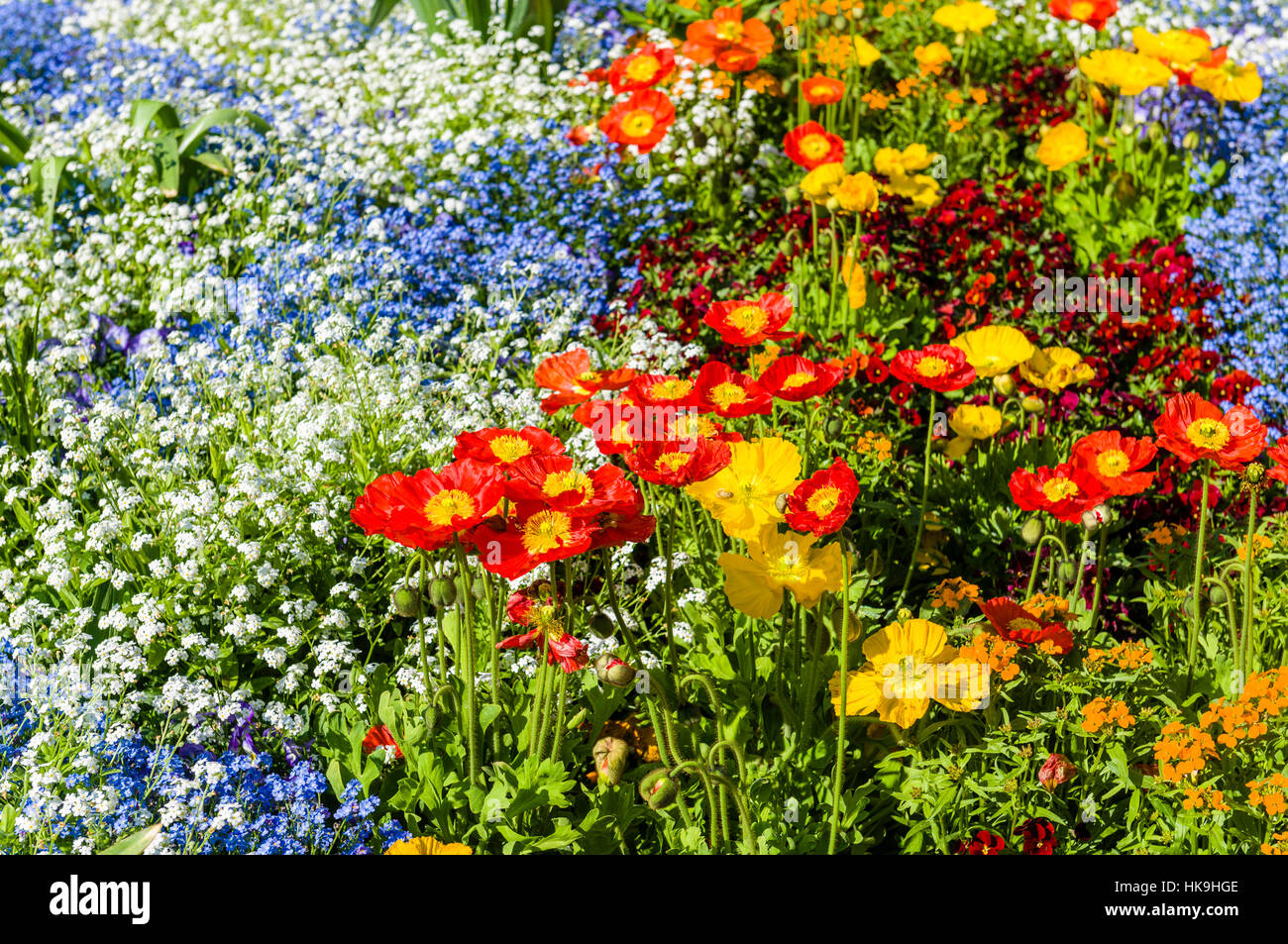 Different blooming flowers at Island Mainau, the 'Island of flowers' at Lake Constance Stock Photo