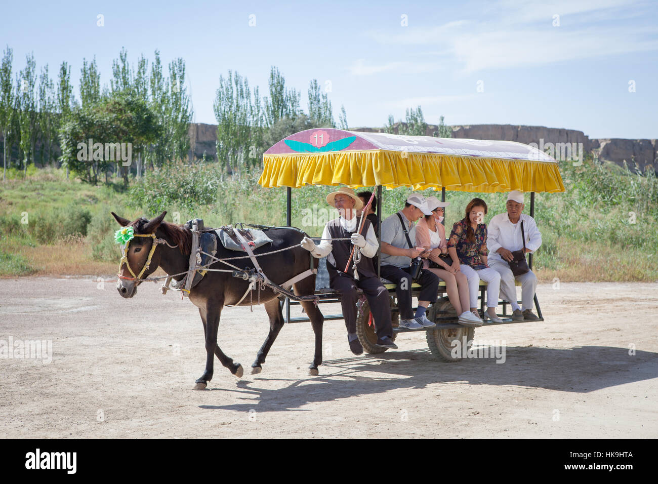 Tourist donkey cart taxi in the archeological site of Shui Dong Gou. Yinchuan, Ningxia, China Stock Photo