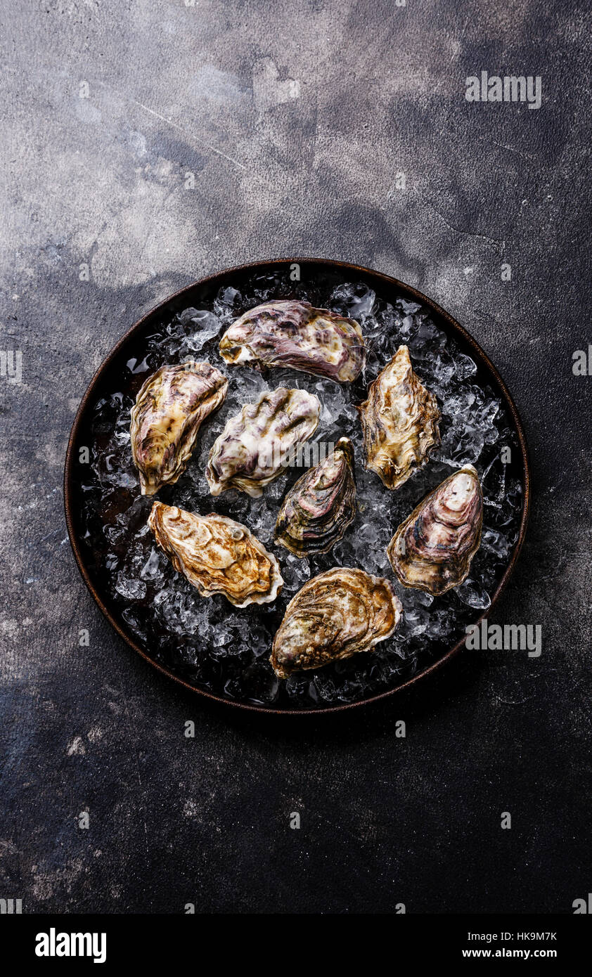 Oysters on ice in plate on dark texture background copy space Stock Photo