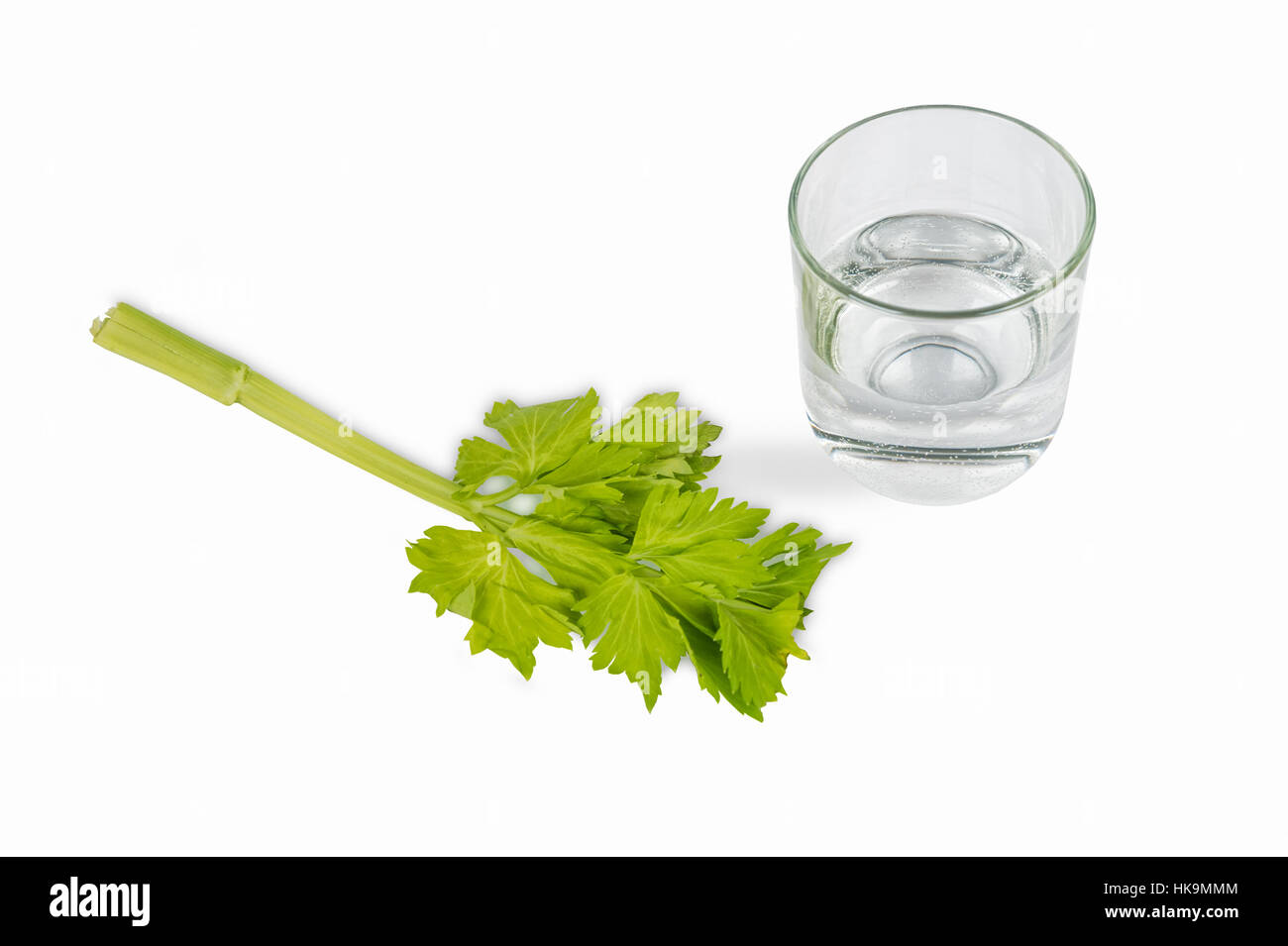 Stem of celery and glass of water isolated on white background. Symbol