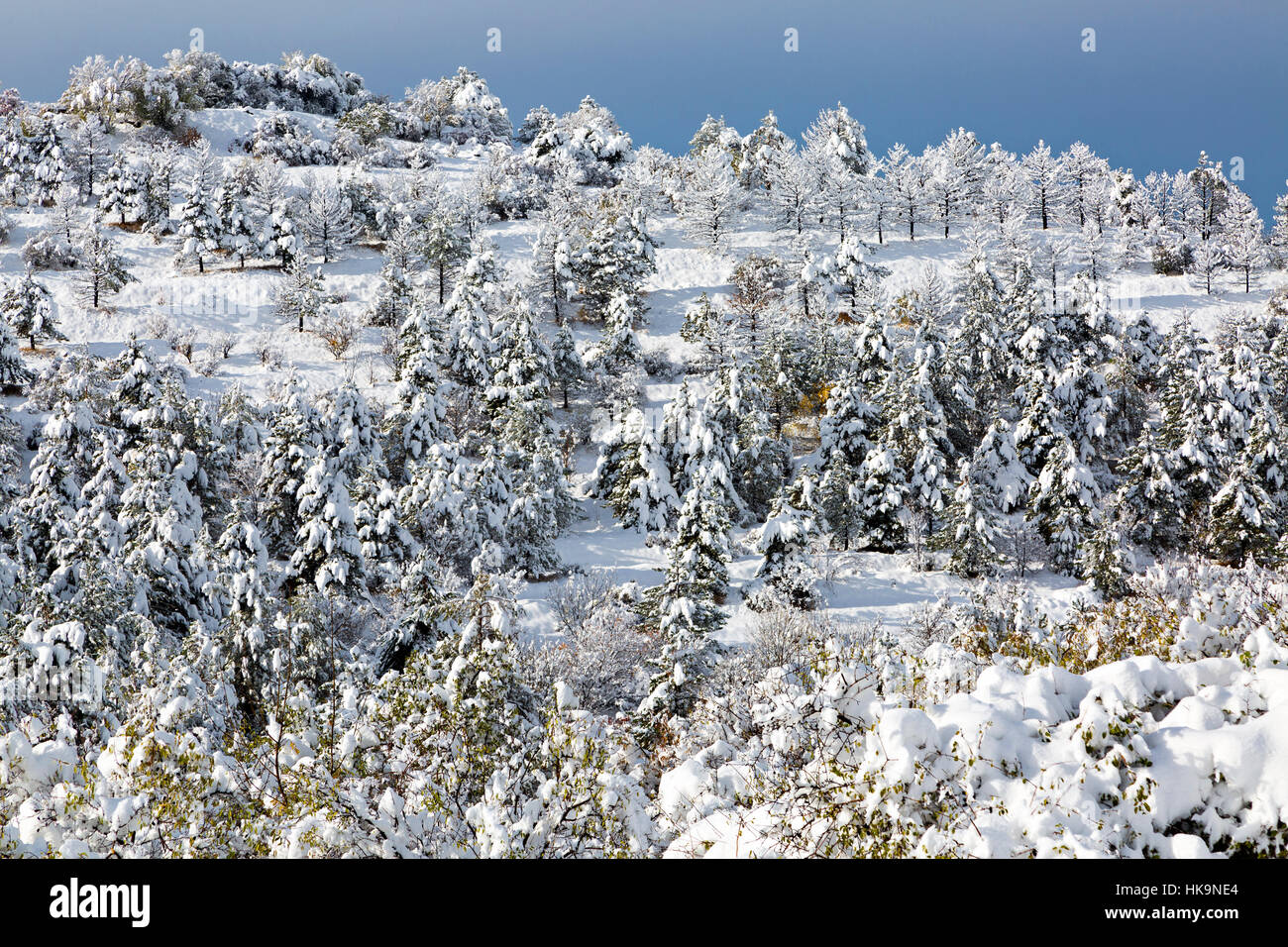 Winter scene in Armenia Stock Photo