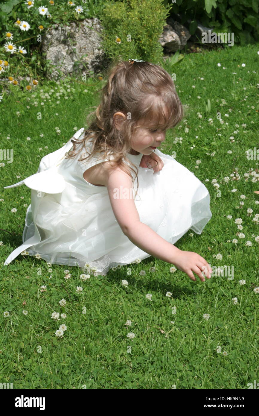 Young bridesmaid picking daisy hires stock photography and images Alamy
