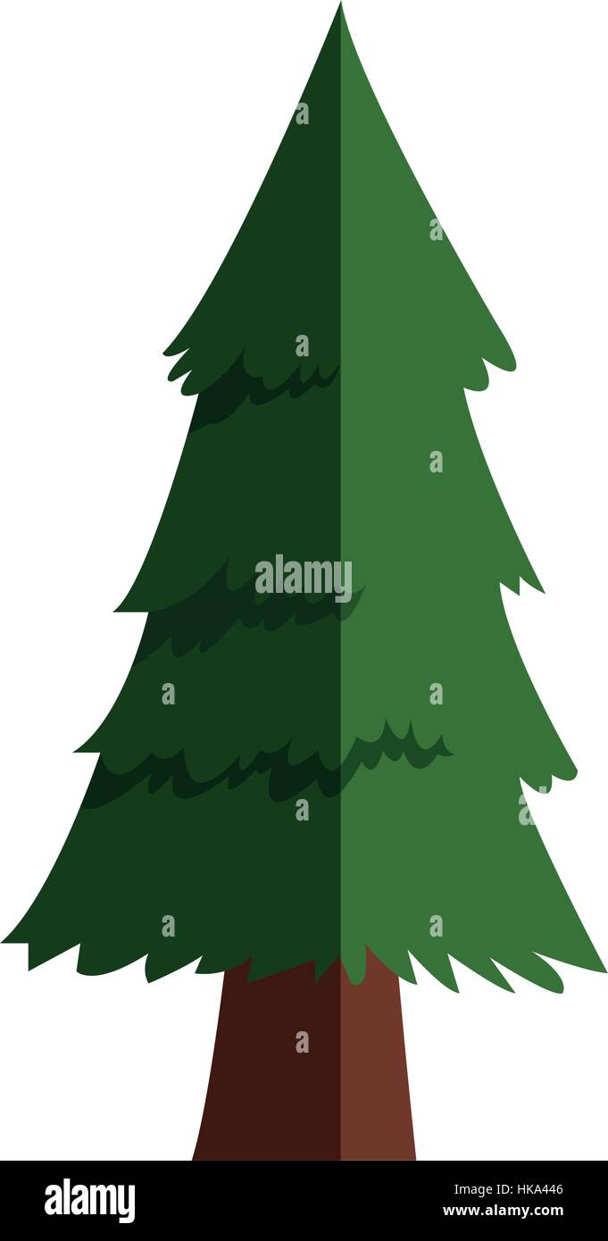 pine tree icon Stock Vector Image & Art - Alamy