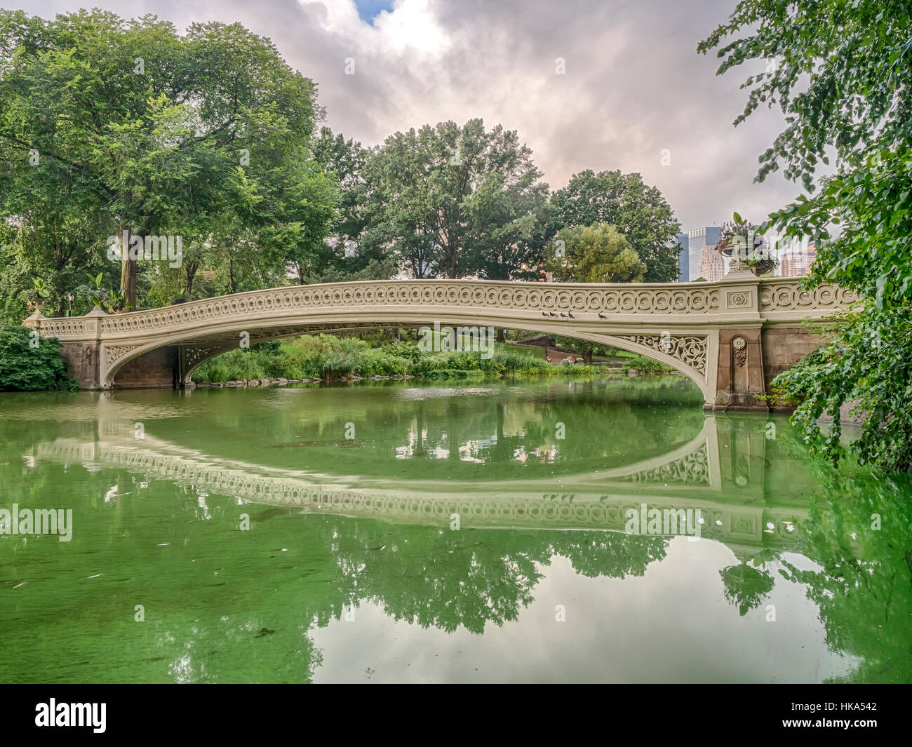 The Bow Bridge is a cast iron bridge located in Central Park, New York ...