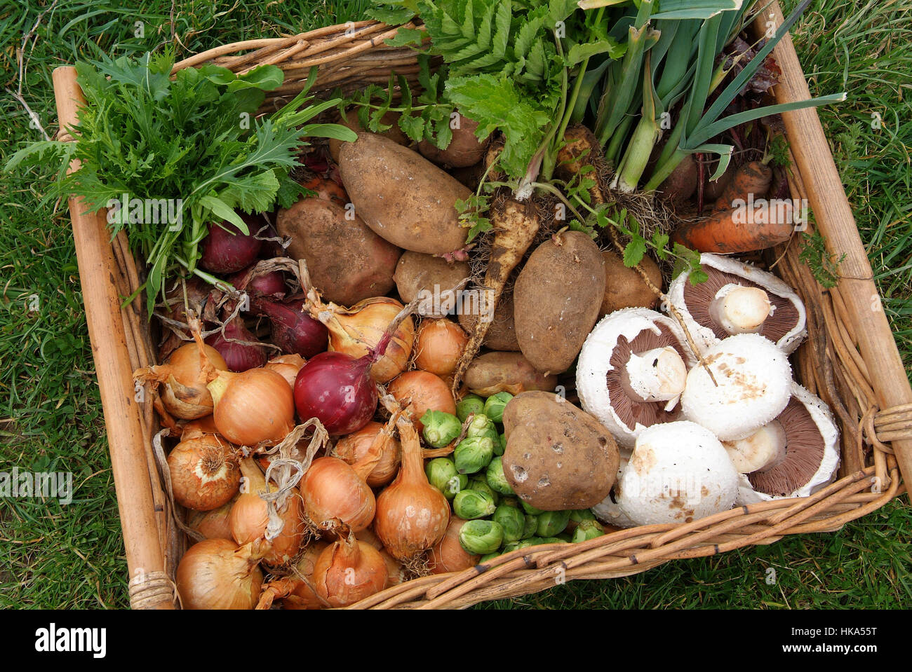 A selection of fresh organic vegetables in a square basket. Stock Photo