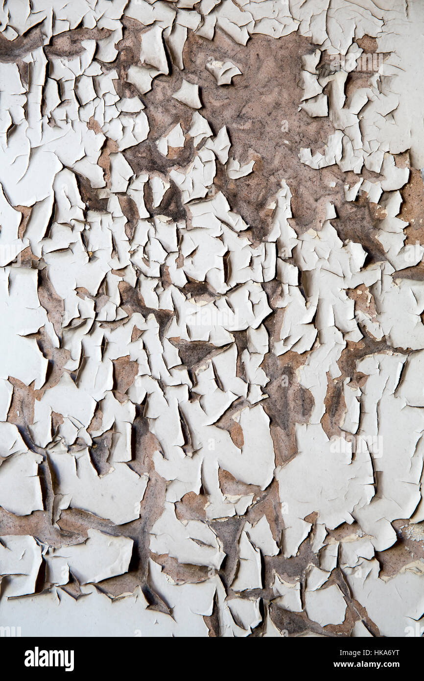 Peeling painted wall hi-res stock photography and images - Alamy