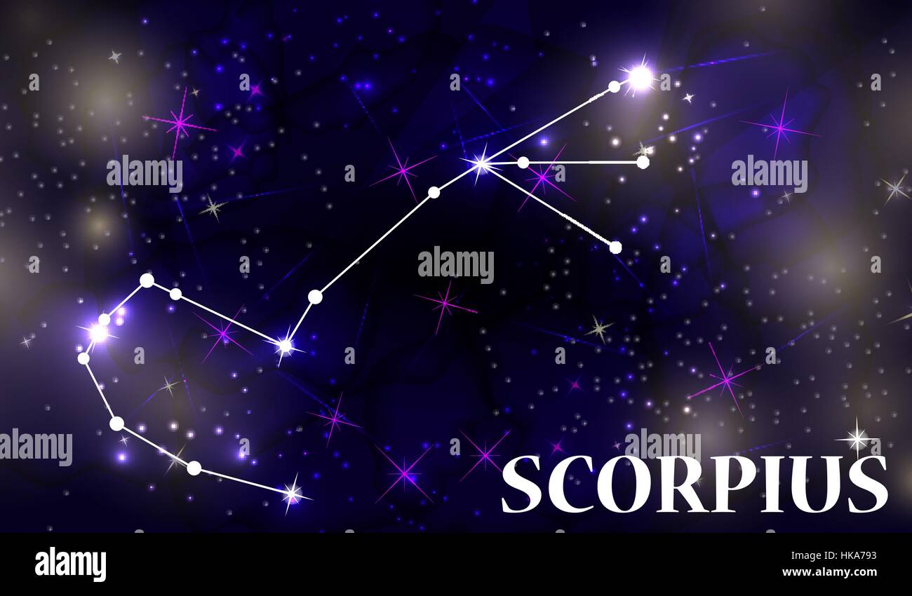 Symbol: Scorpius Zodiac Sign. Vector Illustration. Stock Vector
