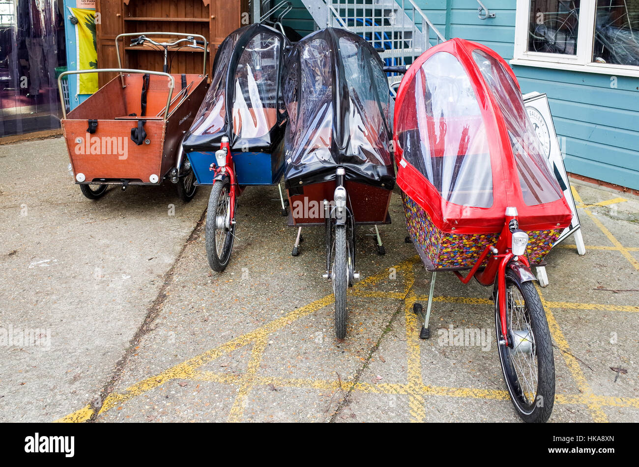 cargo bike for sale