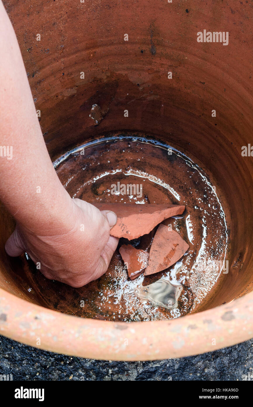 Planting herbs into a container sequence step 1 placing crocks