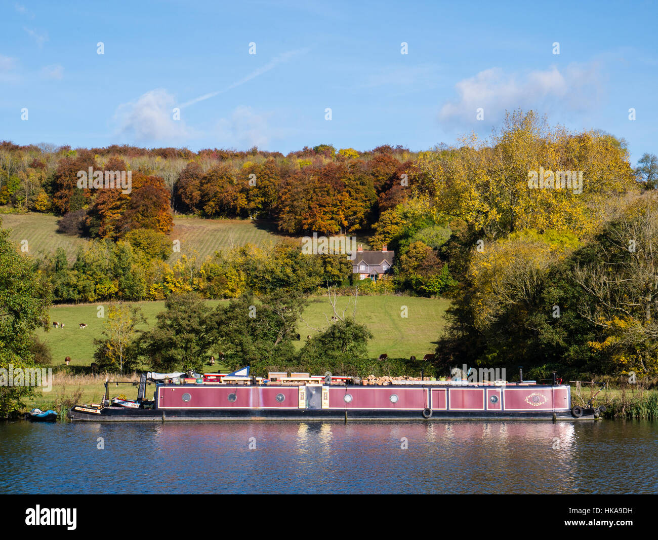 Red Narrow Boat, River Thames, nr Purley on Thames, Reading, Berkshire, England, UK, GB. Stock Photo