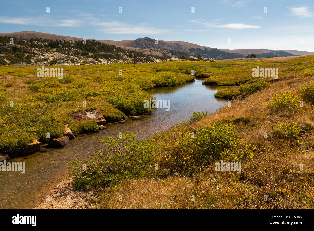 A creek flowing across a large alpine tundra meadow along the Beartooth Loop Trail. Shoshone National Forest, Wyoming Stock Photo
