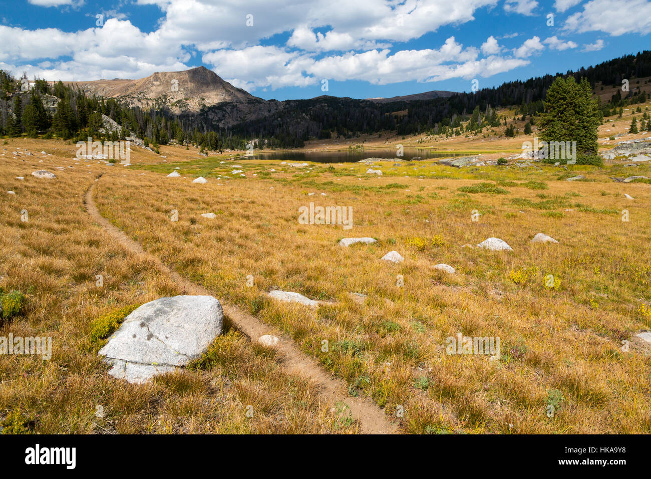 The Beartooth Loop Trail winding around to Losekamp Lake in the Beartooth Mountains. Shoshone National Forest, Wyoming Stock Photo