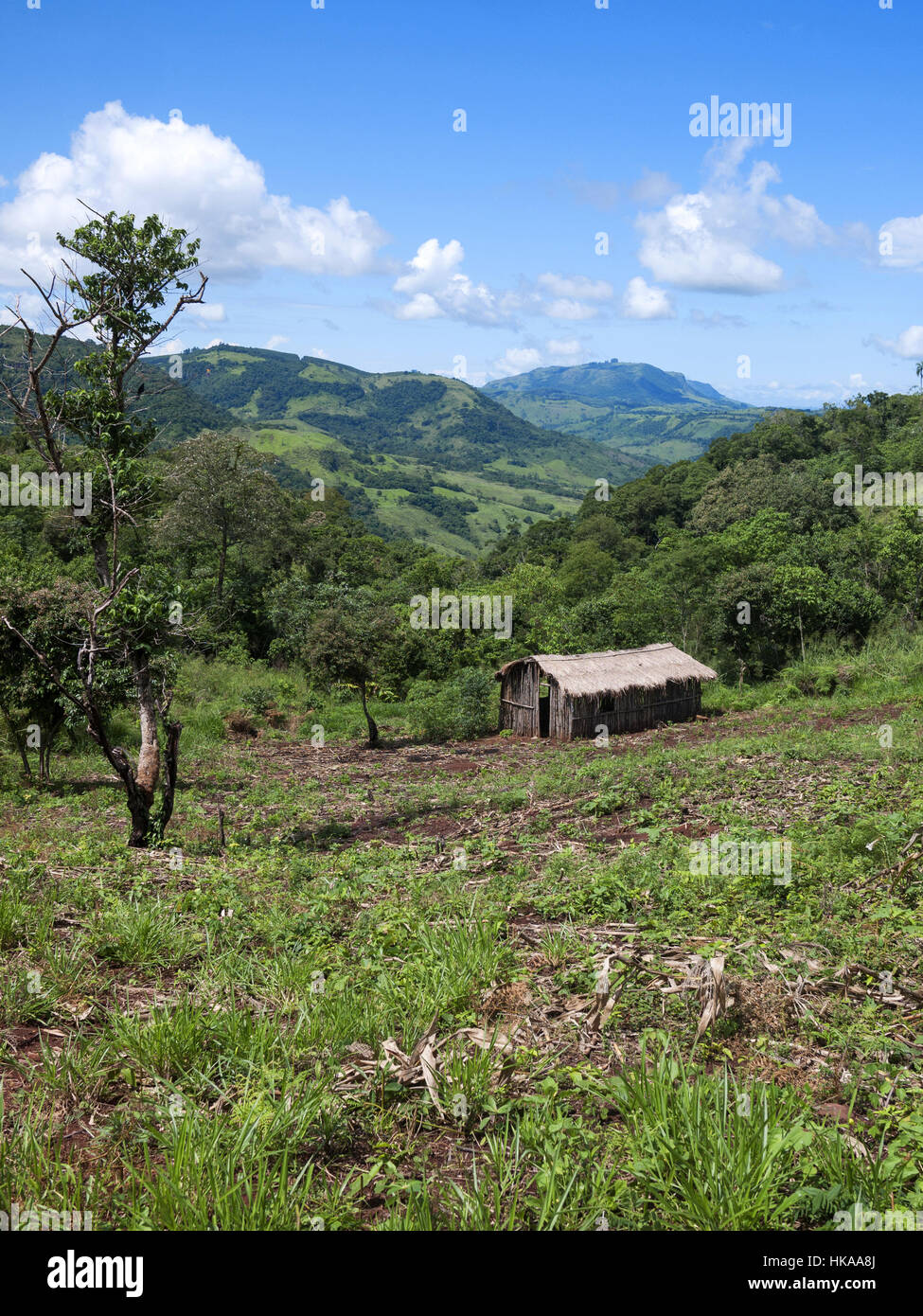 Brazilian indian land Stock Photo