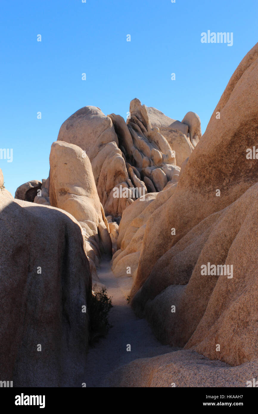 Narrow trail leading into unusual rock formations at the Jumbo Rocks ...