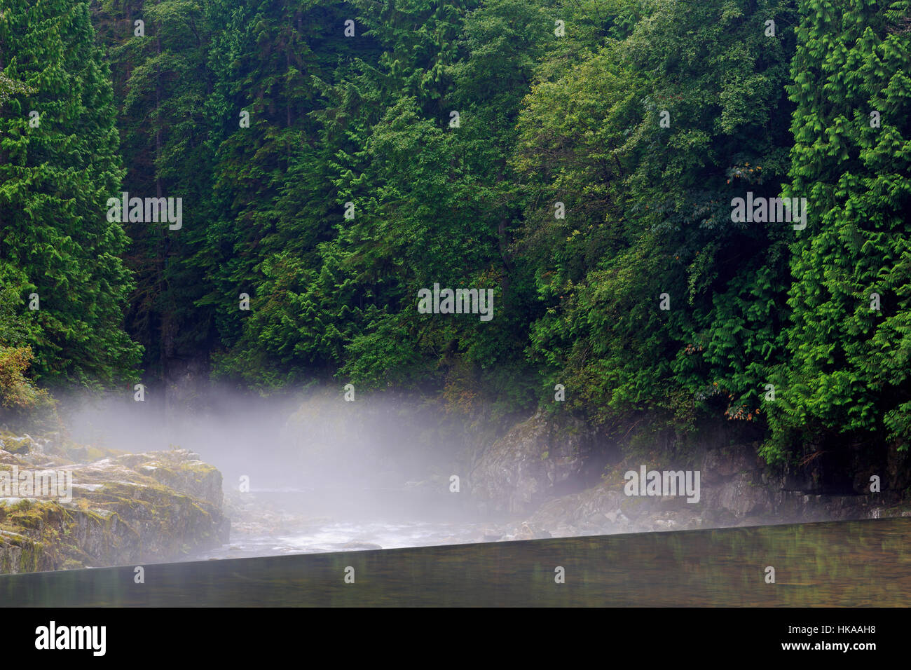 Vancouver capilano salmon hatchery hires stock photography and images