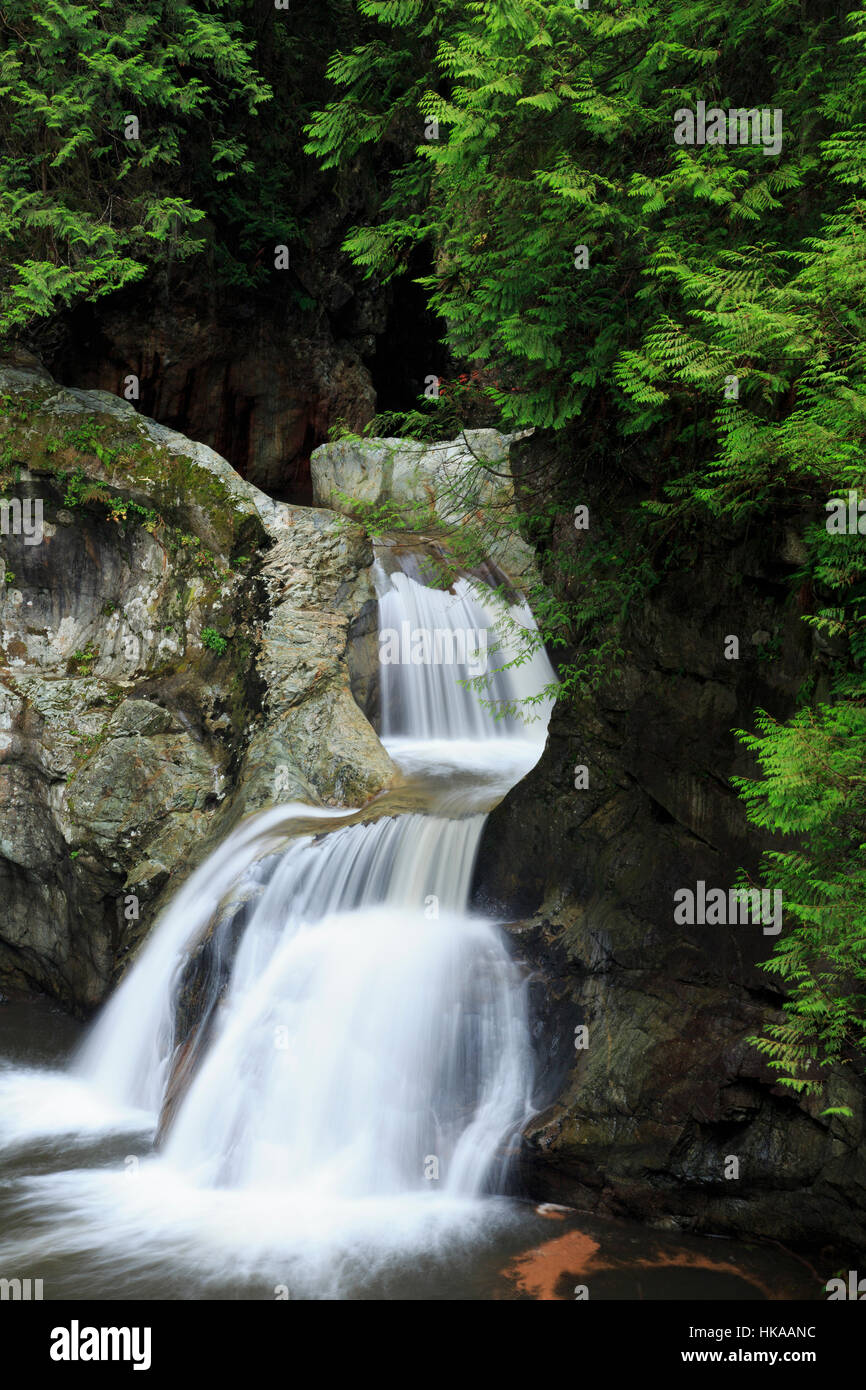 Twin Falls, Lynn Canyon Park, Vancouver, British Columbia, Canada Stock Photo