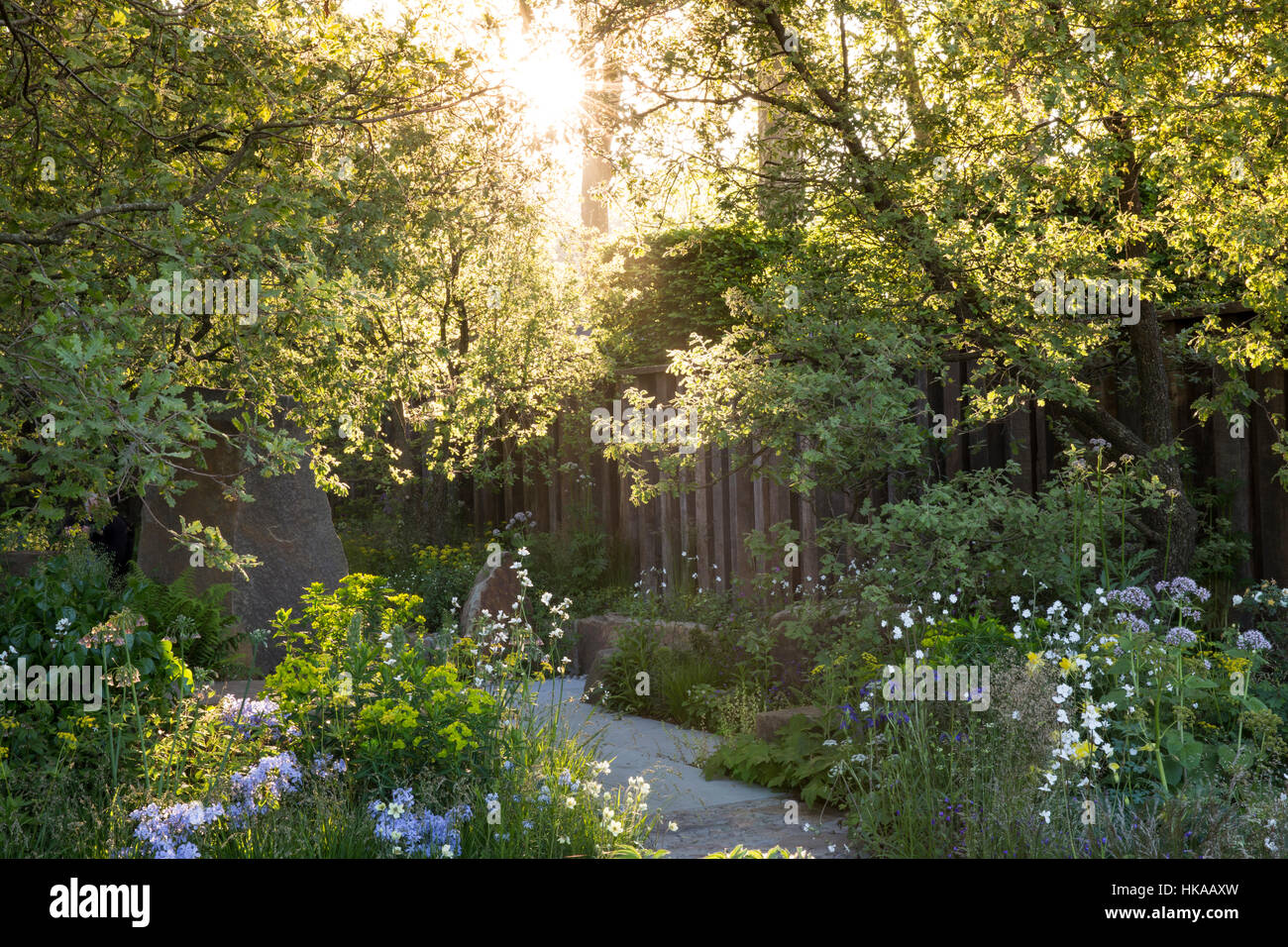 English Cottage garden in Spring UK with garden stone paved paving path and  bird bath sunbeam through trees mixed garden borders planting Stock Photo