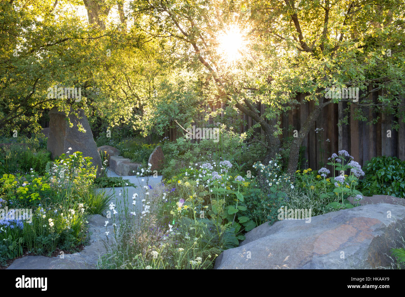 English Cottage garden in Spring with garden stone paved paving path and  bird bath sunbeam through trees at dawn mixed garden borders planting UK Stock Photo