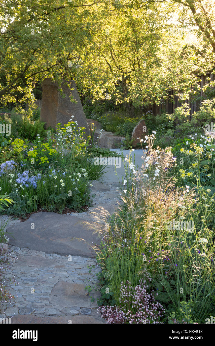 Cottage garden in Spring UK with garden stone paved paving path and  sun through trees at dawn mixed garden borders planting ornamental grasses grass Stock Photo