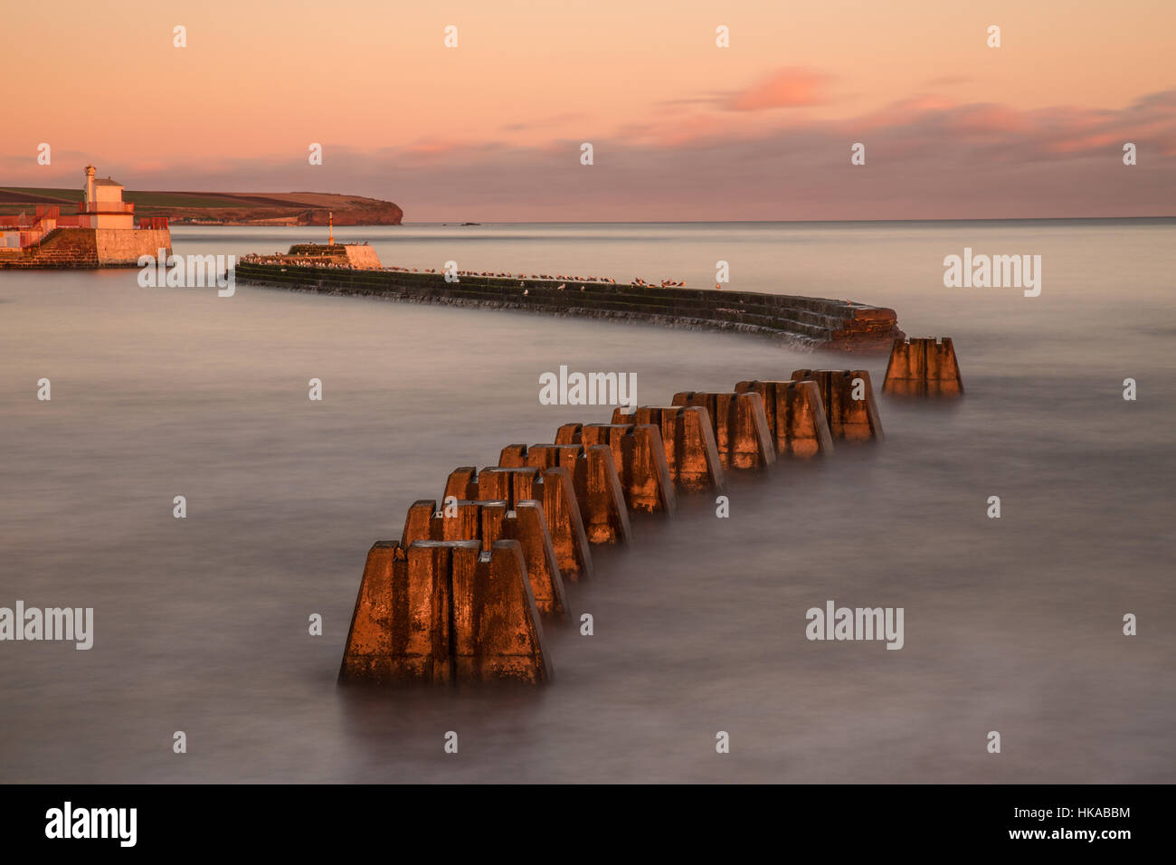 Sea Wall at Arbroath Harbour, Scotland Stock Photo Alamy