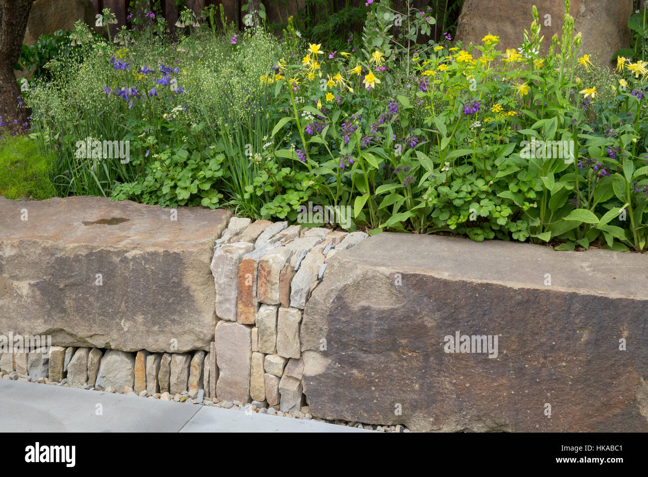 The M&G Garden, view of Forest of Dean sandstone boulder bench, Aquilegia chrysantha, Aquilegia alpina raised flower beds Stock Photo