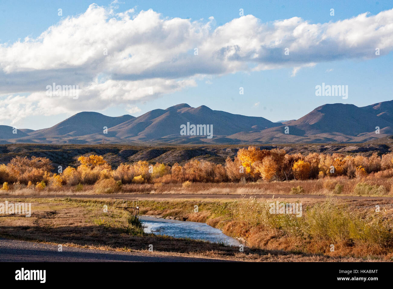 Bosque del apache hi-res stock photography and images - Alamy