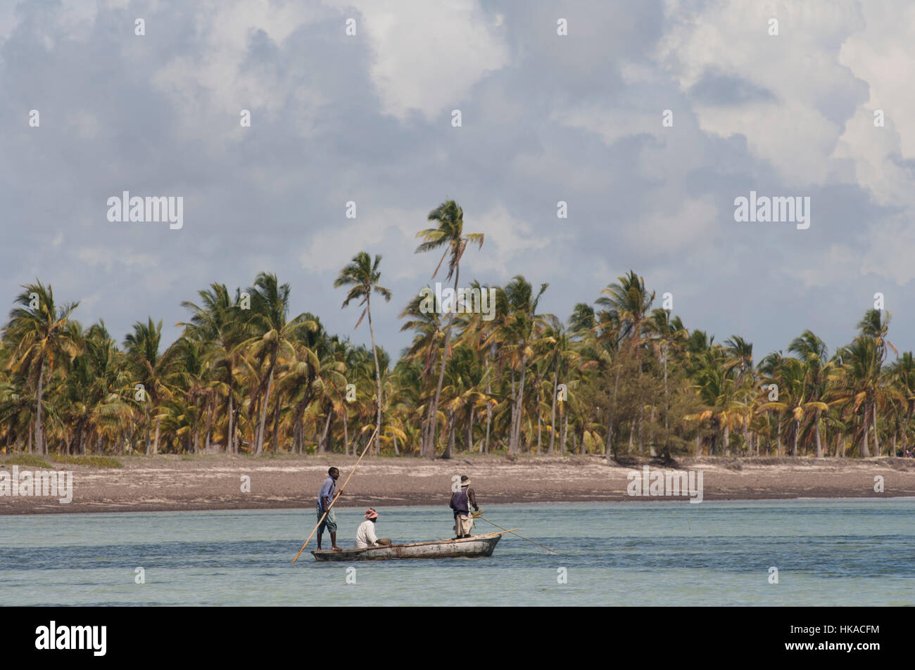 Fishermen standing pushing their boat with poles, palm tree fringed beach in the background, Kilwa, Tanzania Stock Photo