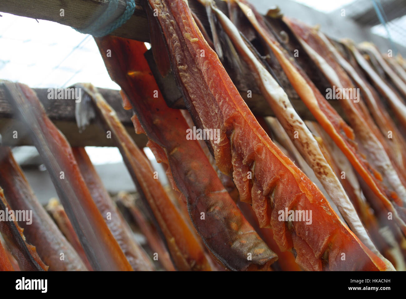 Native Canadian Fish Drying Rack Fish drying on racks in Gjoa Haven, Nunavut, Canada Stock Photo - Alamy