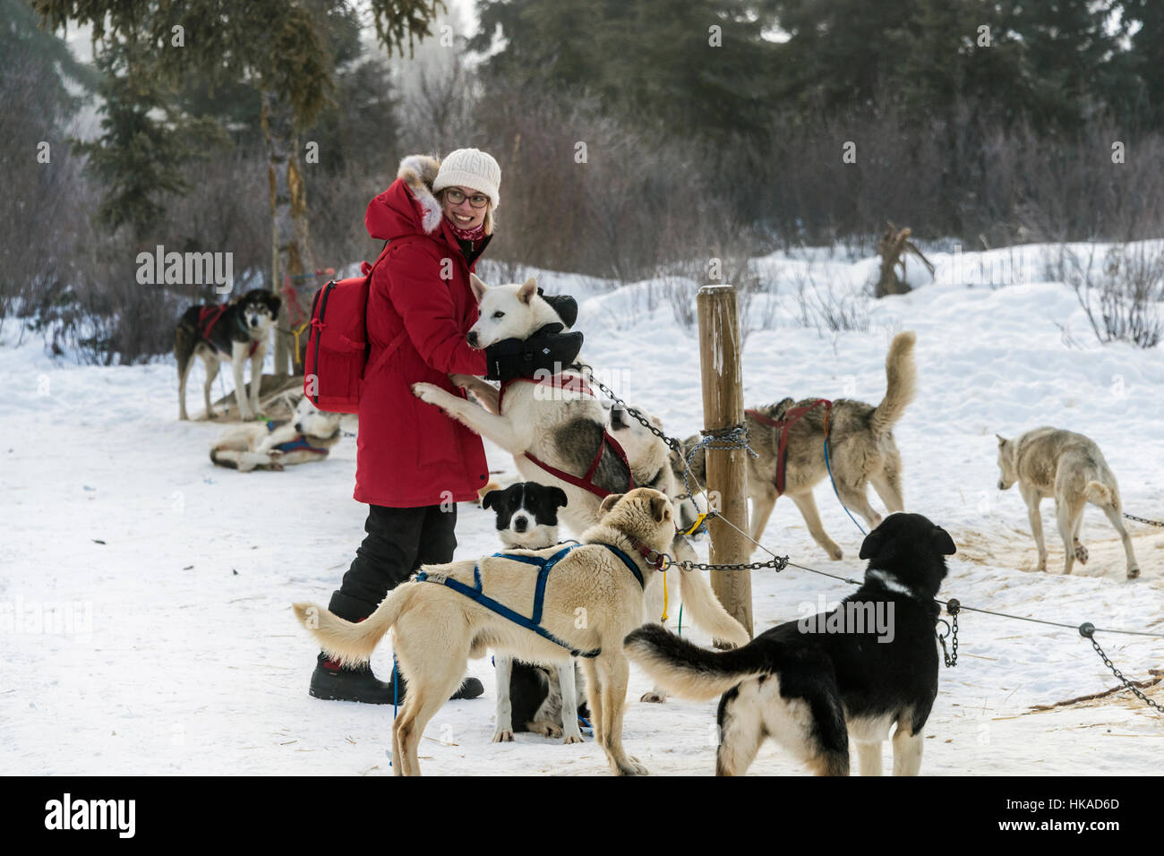 What Are Snow Dogs In The Sky