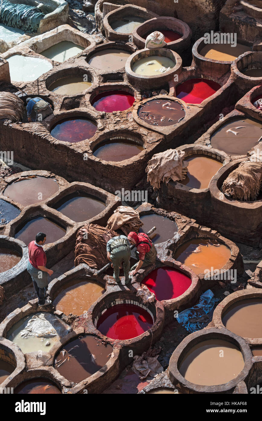 Leather tanning in the Tannera's Quarters in Fes Morocco Stock Photo