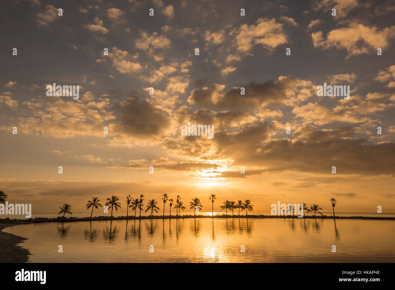 REFLECTING POOL ATOLL MATHESON HAMMOCK COUNTY PARK MIAMI FLORIDA USA