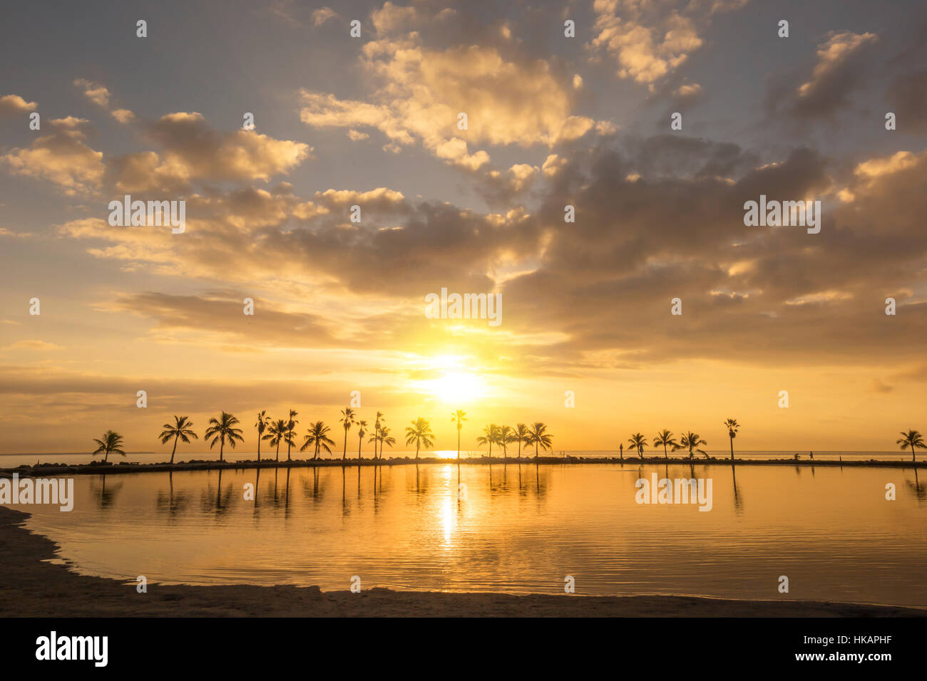 REFLECTING POOL ATOLL MATHESON HAMMOCK COUNTY PARK MIAMI FLORIDA USA