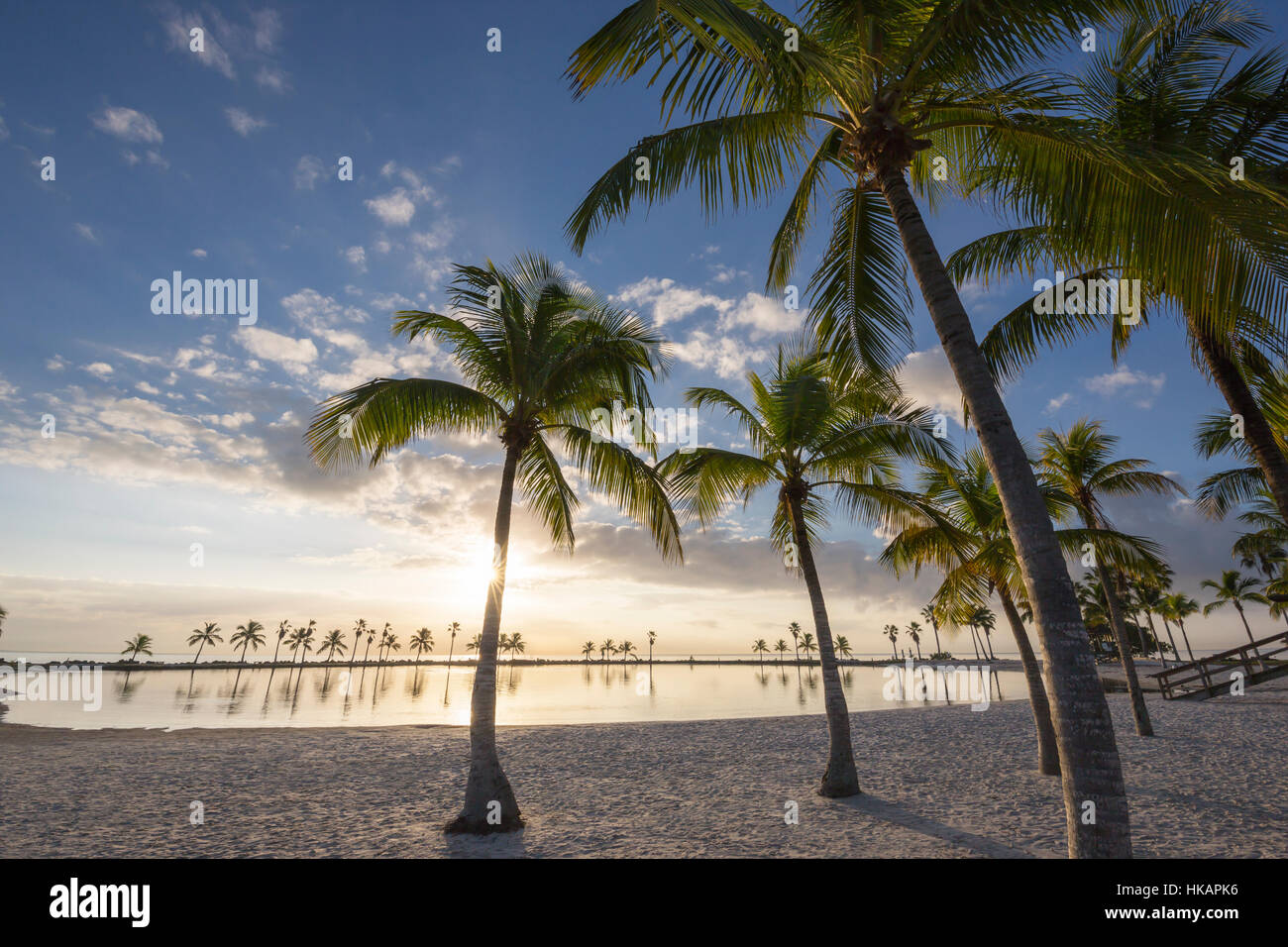 SAND BEACH REFLECTING POOL ATOLL MATHESON HAMMOCK COUNTY PARK MIAMI