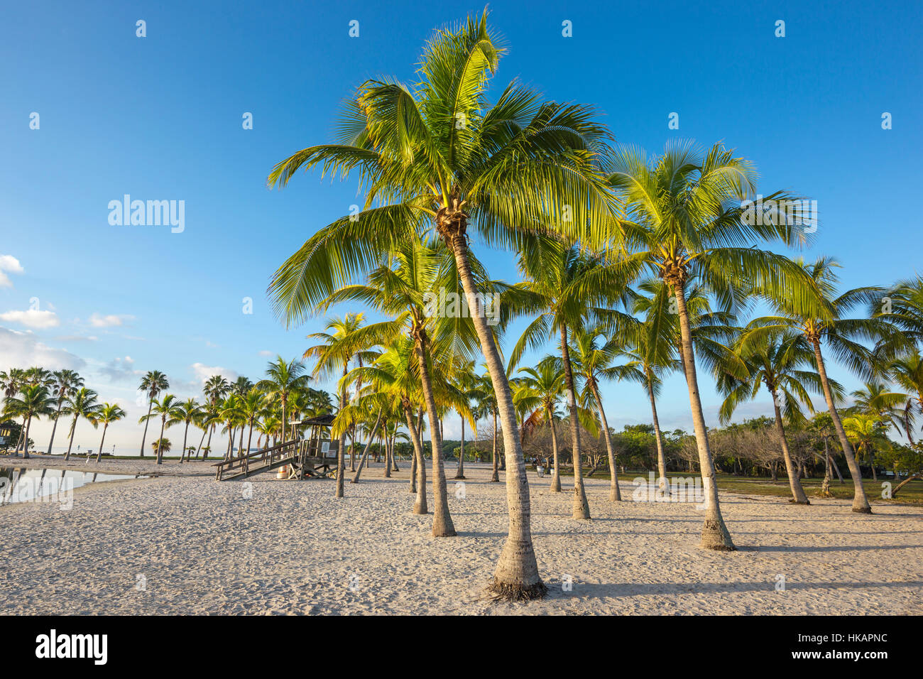 SAND BEACH REFLECTING POOL ATOLL MATHESON HAMMOCK COUNTY PARK MIAMI