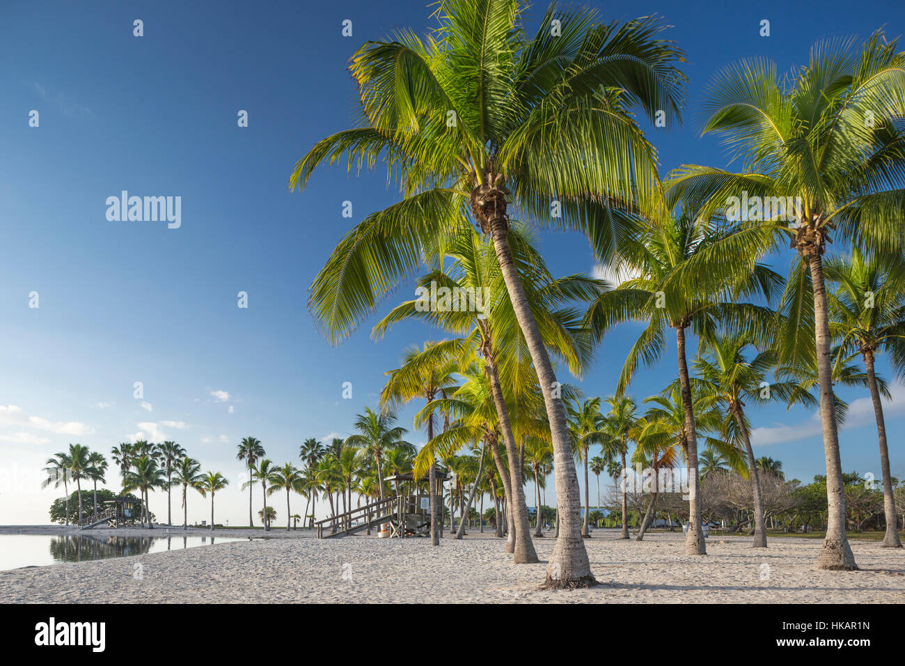 SAND BEACH REFLECTING POOL ATOLL MATHESON HAMMOCK COUNTY PARK MIAMI