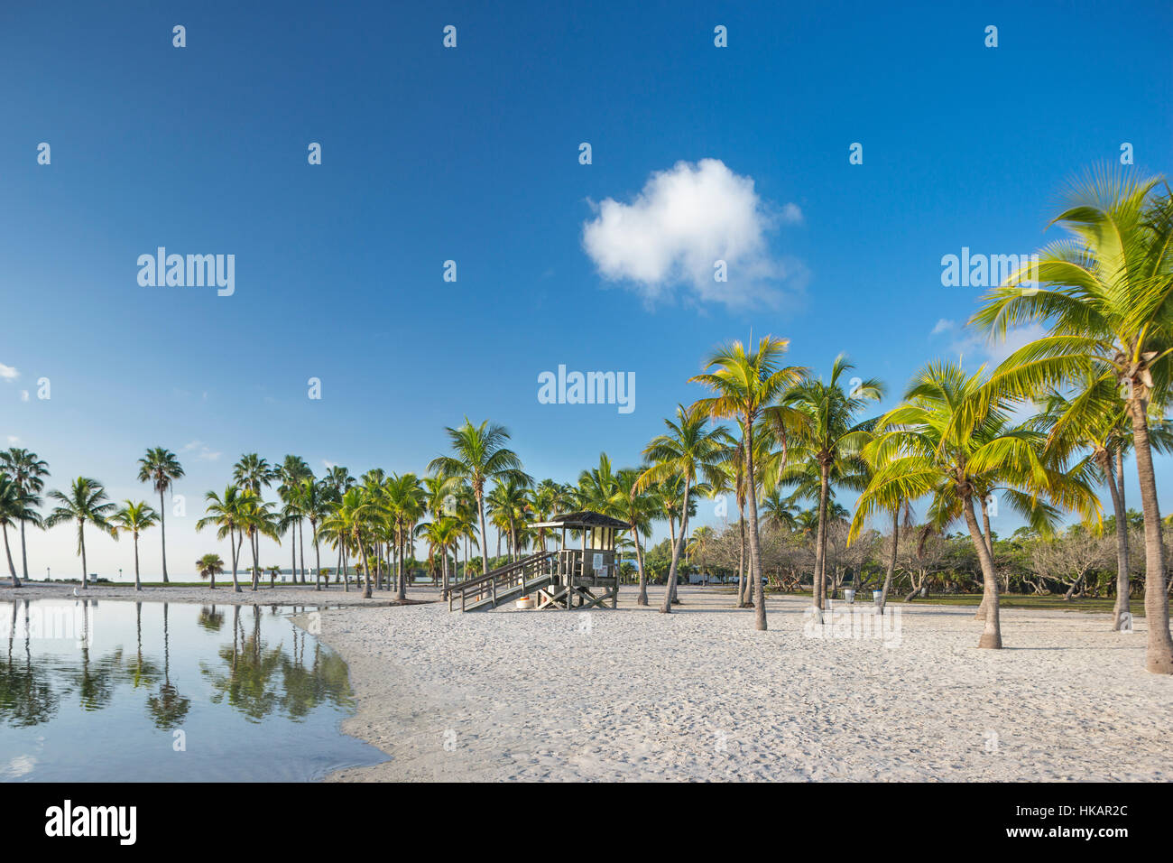 SAND BEACH REFLECTING POOL ATOLL MATHESON HAMMOCK COUNTY PARK MIAMI