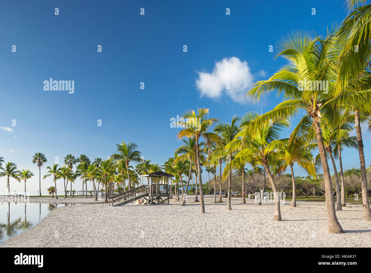 SAND BEACH REFLECTING POOL ATOLL MATHESON HAMMOCK COUNTY PARK MIAMI