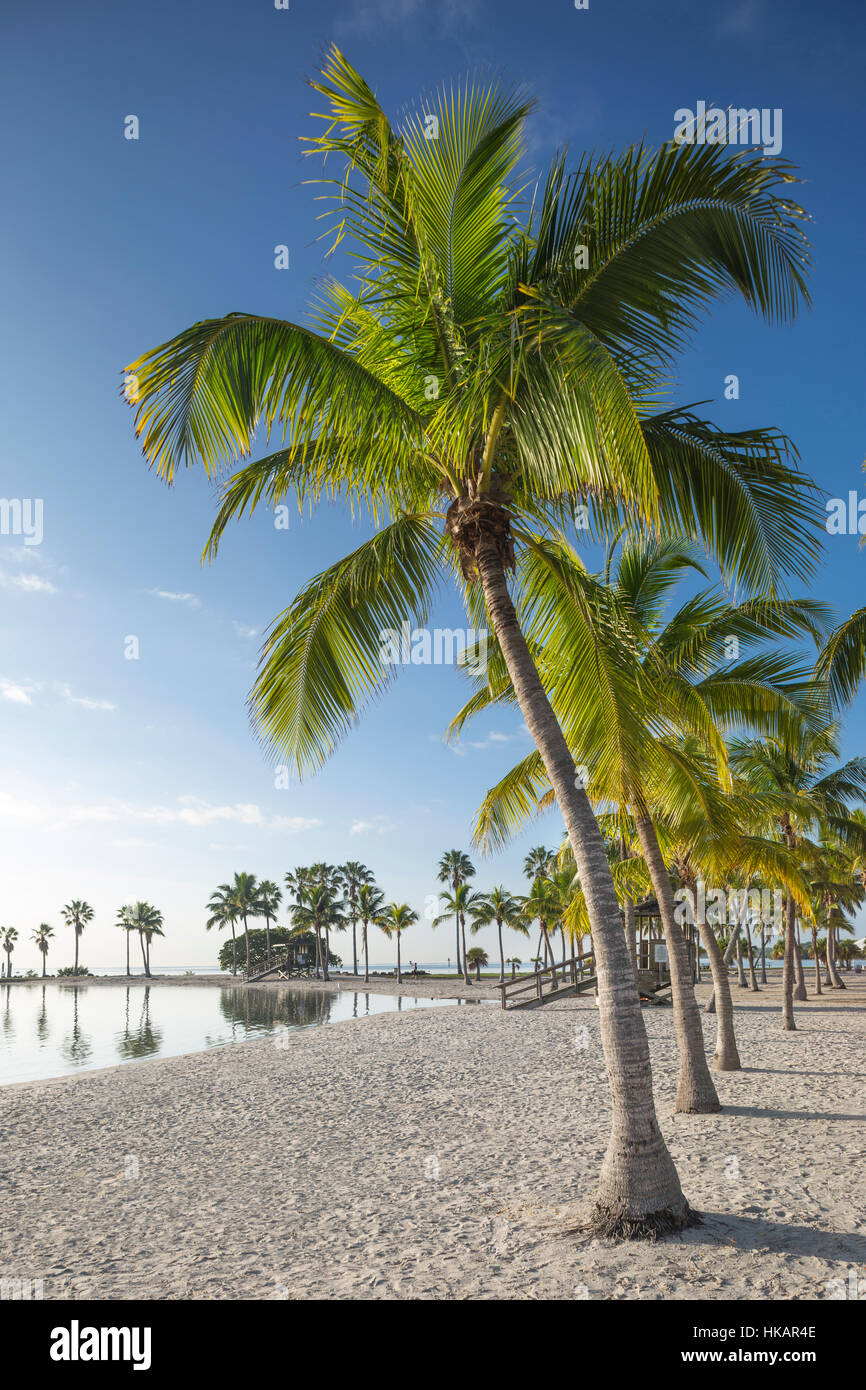 SAND BEACH REFLECTING POOL ATOLL MATHESON HAMMOCK COUNTY PARK MIAMI