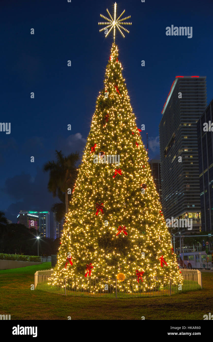 CHRISTMAS TREE BAYFRONT PARK DOWNTOWN MIAMI FLORIDA USA CHRISTMAS TREE BAYFRONT PARK DOWNTOWN MIAMI FLORIDA USA