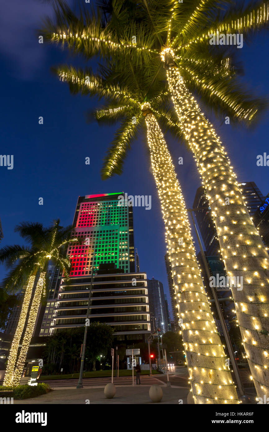 PALM TREES ILLUMINATED CHRISTMAS SEASON BRICKELL AVENUE DOWNTOWN MIAMI