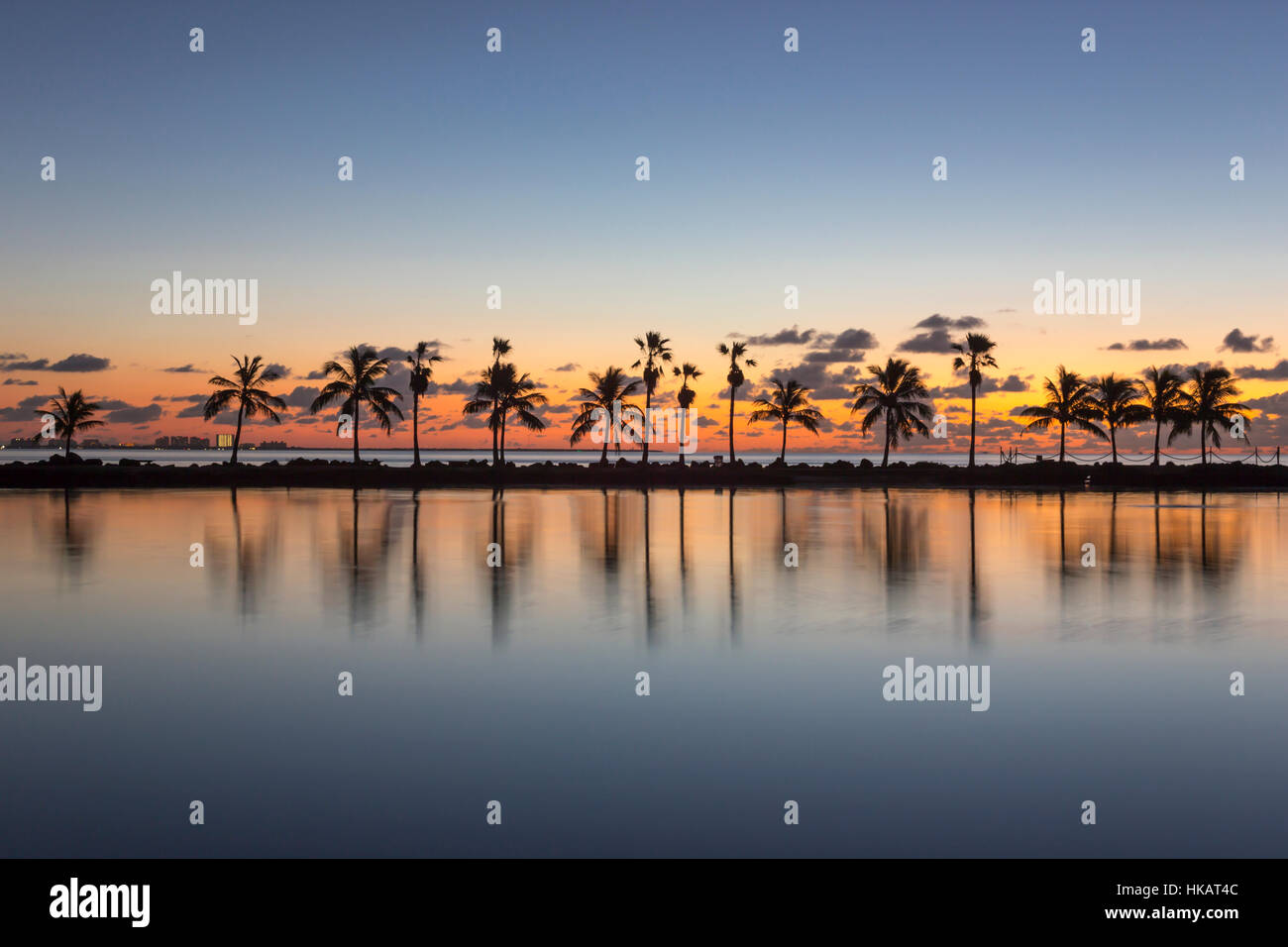 PALM TREES REFLECTING POOL ATOLL MATHESON HAMMOCK COUNTY PARK MIAMI