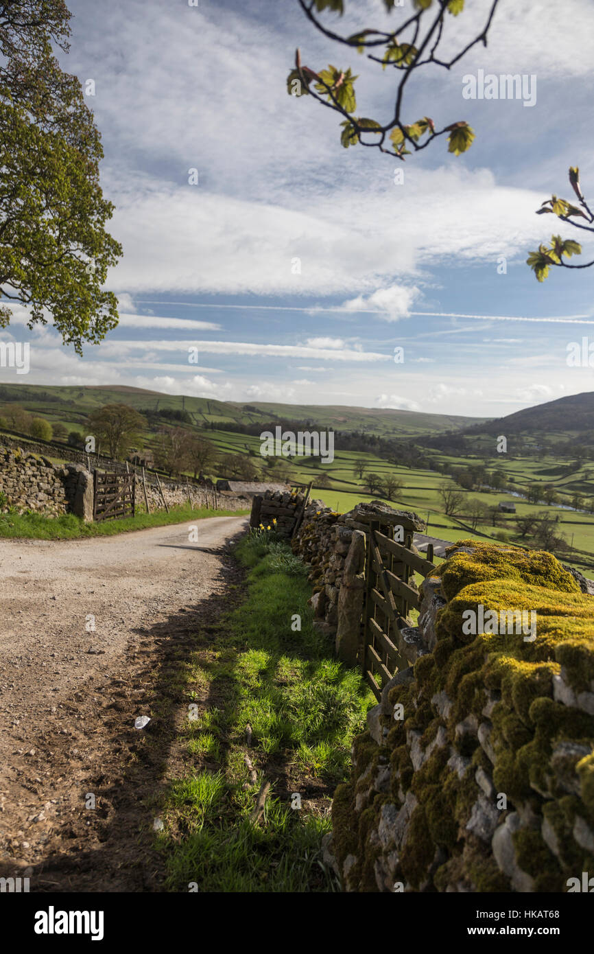 The Wharfe Valley in the Yorkshire Dales Stock Photo