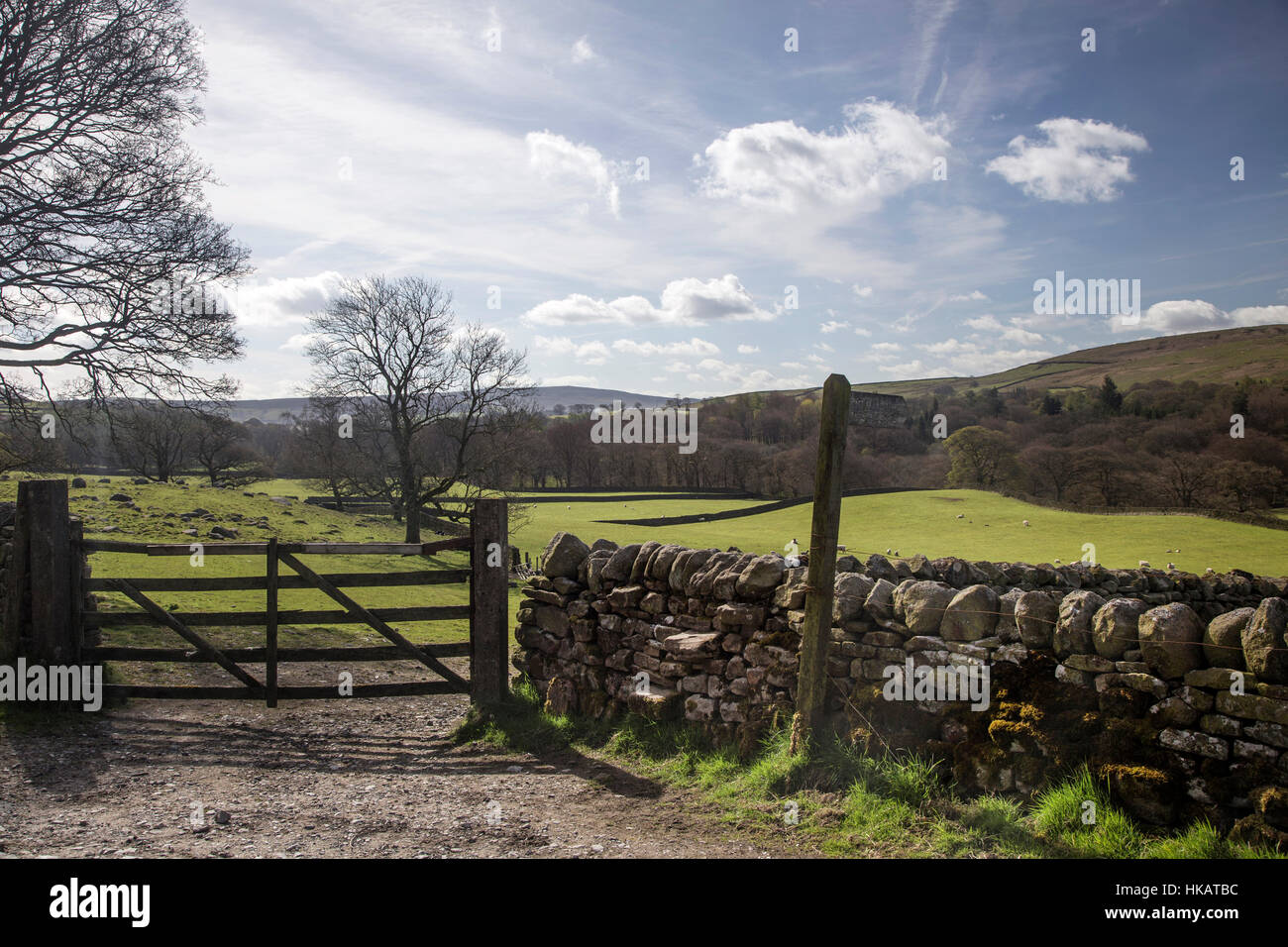 The Wharfe Valley in the Yorkshire Dales Stock Photo