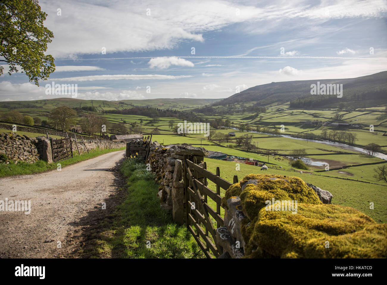 The Wharfe Valley in the Yorkshire Dales Stock Photo