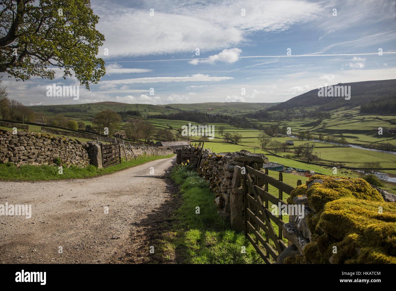 The Wharfe Valley in the Yorkshire Dales Stock Photo