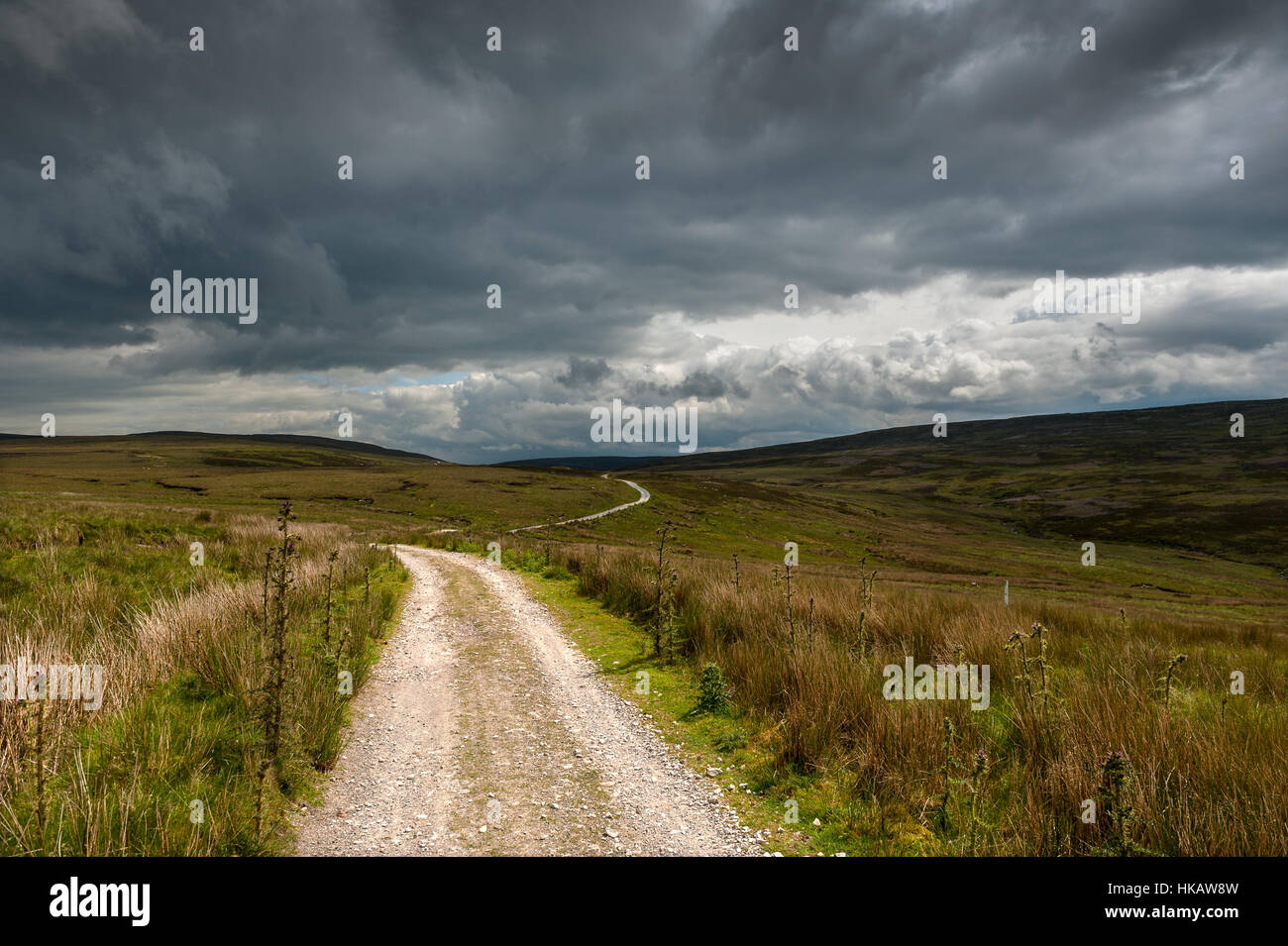 The Hornby Road in The Forest of Bowland lancashire Stock Photo